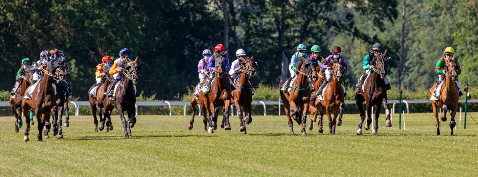 Hippodrome La RochePosay (86)