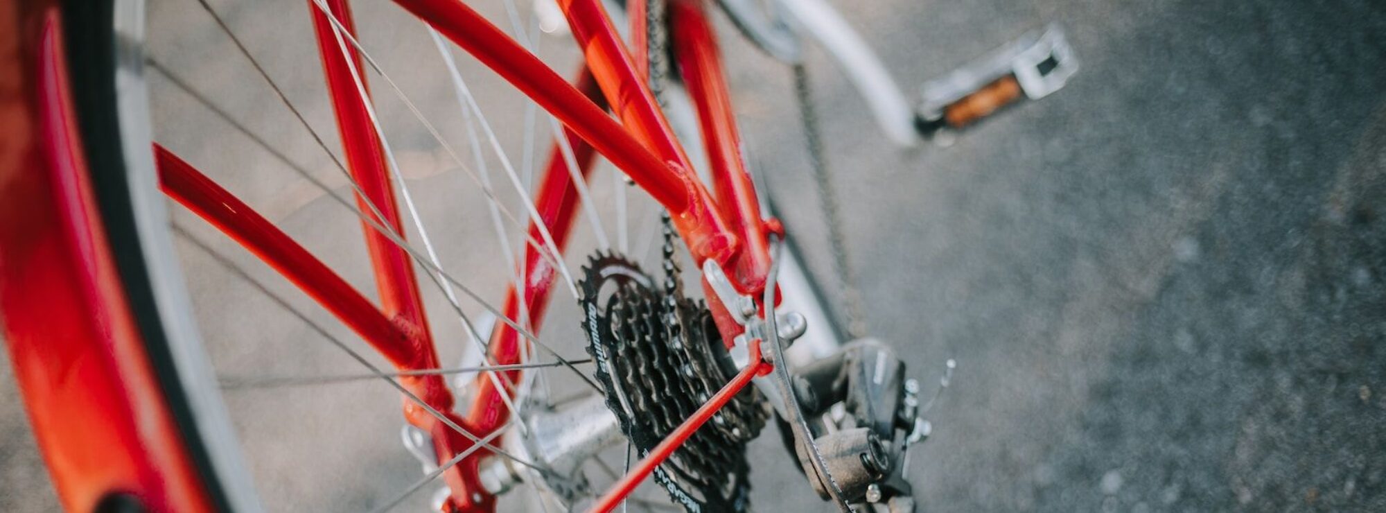selective focus photography of red and gray bicycle